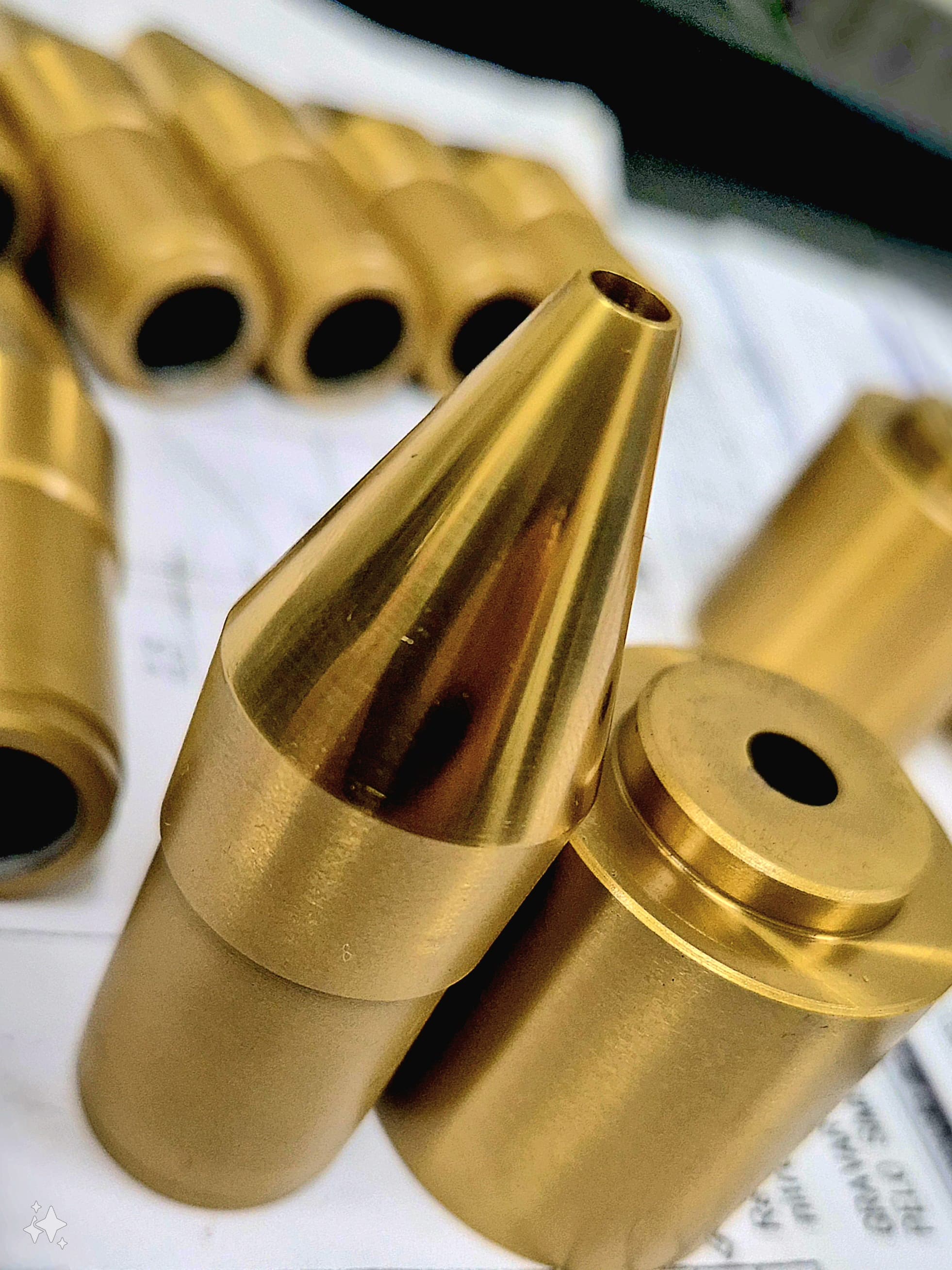 macho femea extrusora.jpeg